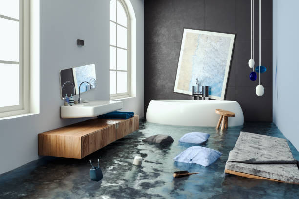 Best Mold removal after water damage  in Birngham, MI