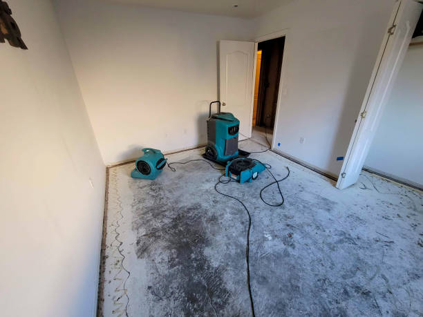 Best Ceiling water damage repair  in Birngham, MI