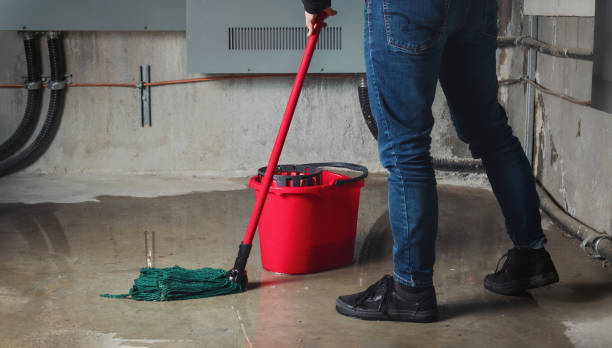 Best Water damage restoration process  in Birngham, MI