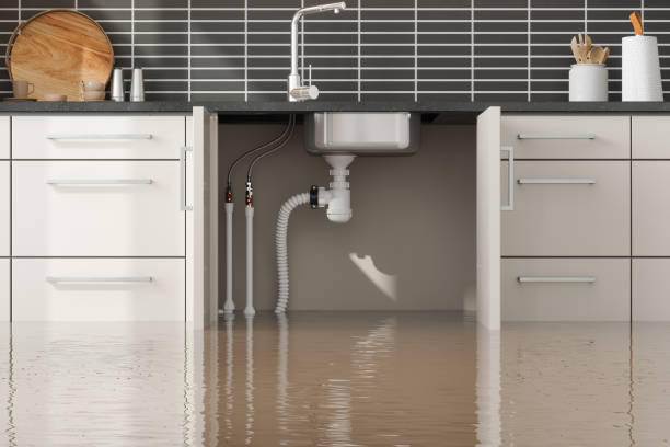 Best 24-hour water damage restoration  in Birngham, MI