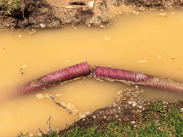 Best Water damage restoration mold remediation  in Birngham, MI