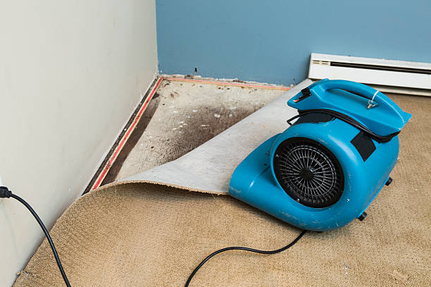 Best Ceiling water damage repair  in Birngham, MI